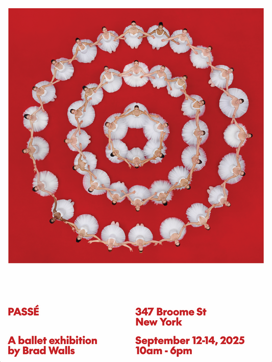 PASSÉ Poster - 18"x24"