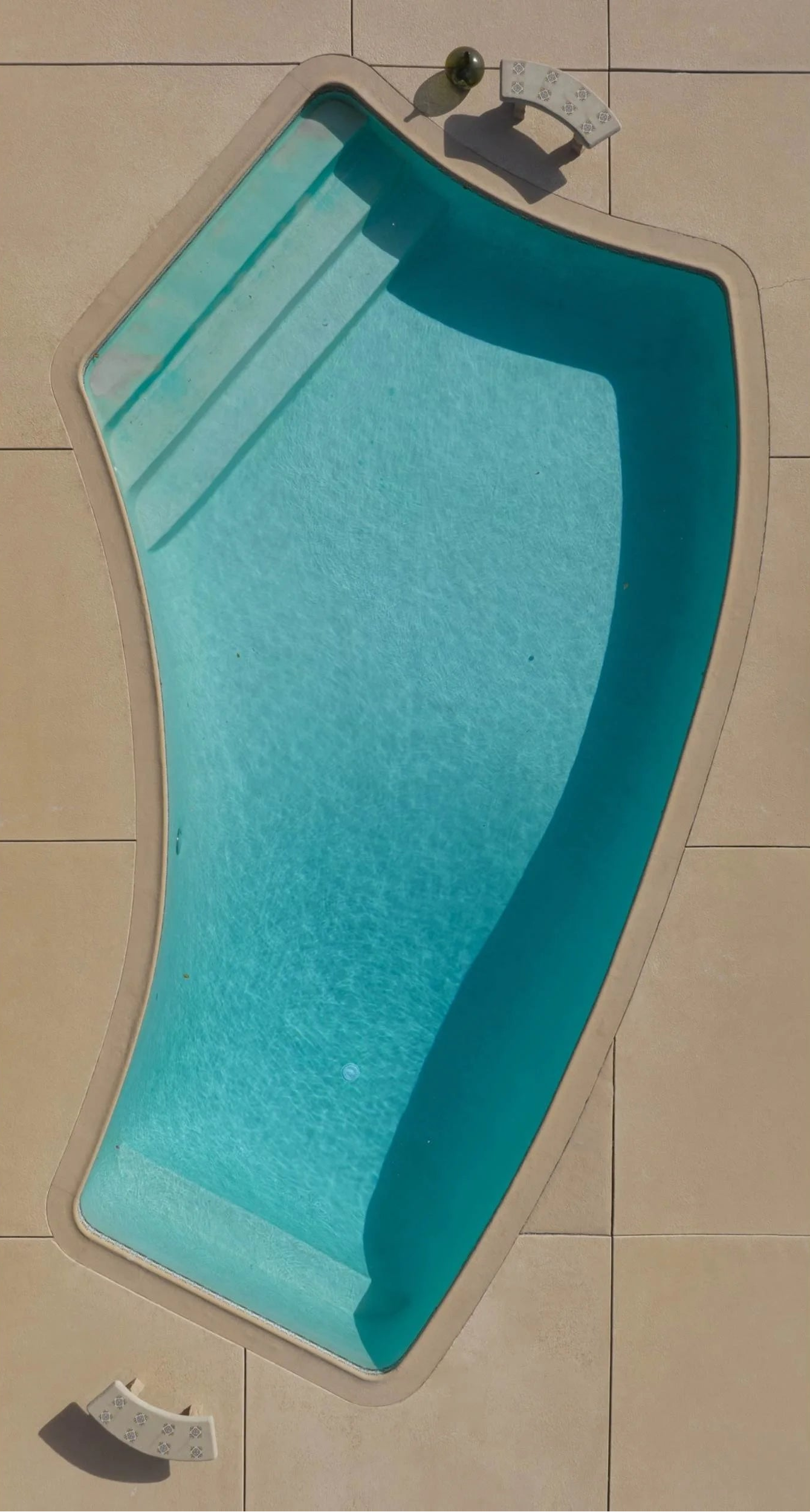 Desert Oasis
