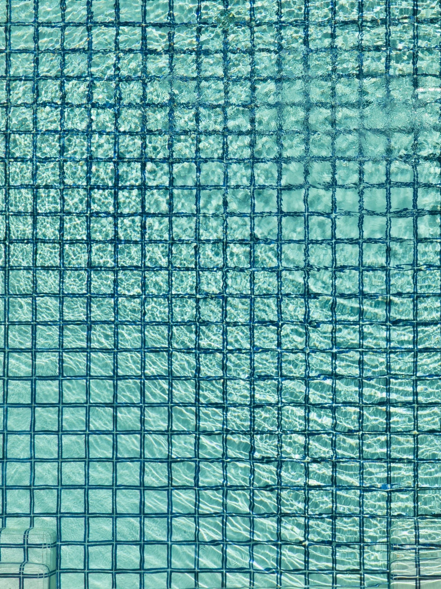 Brad Walls at Cuixmala