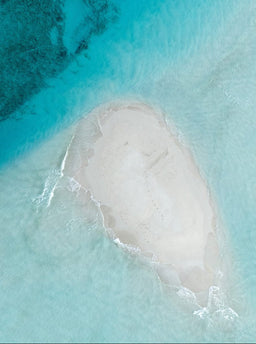 Shore