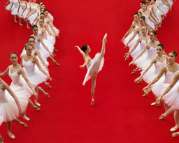 Singular (red)