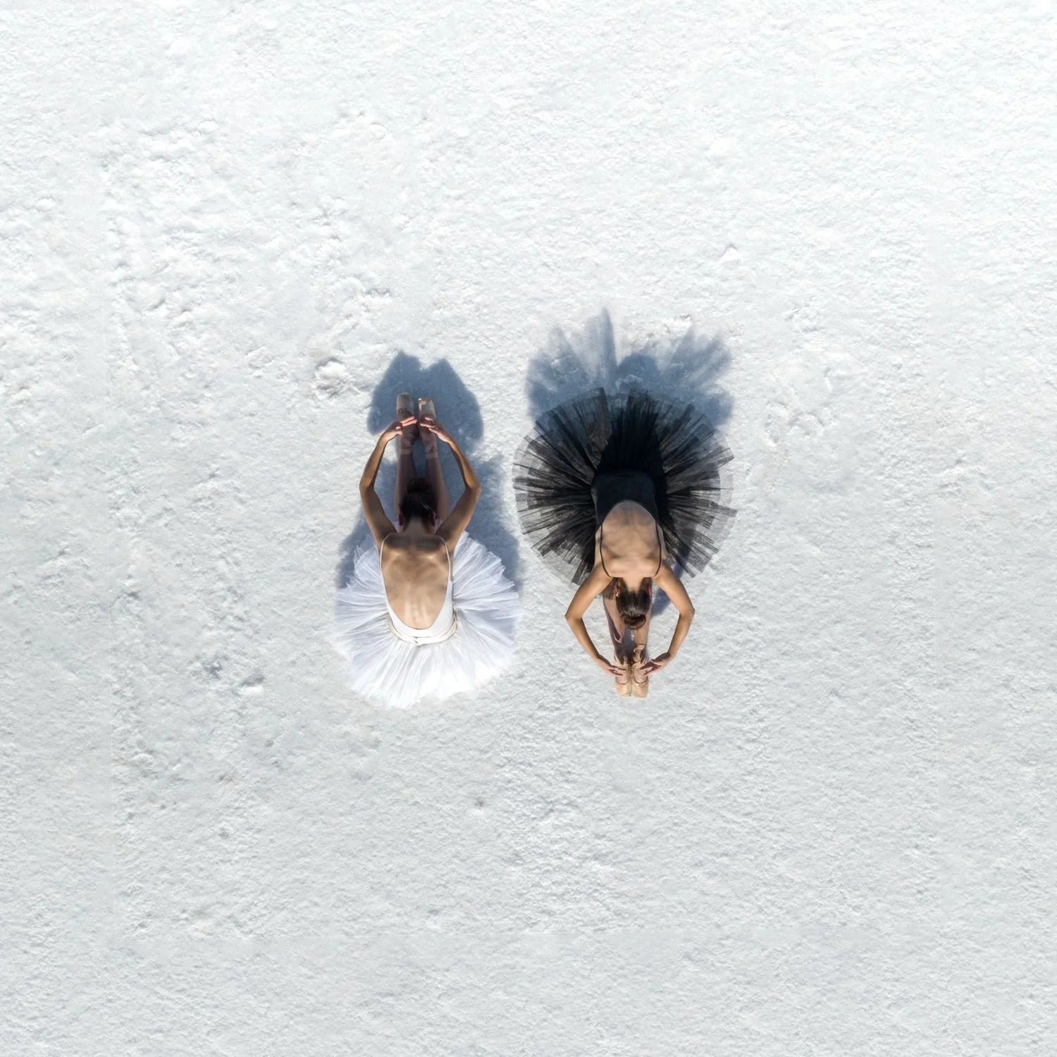 Polarity