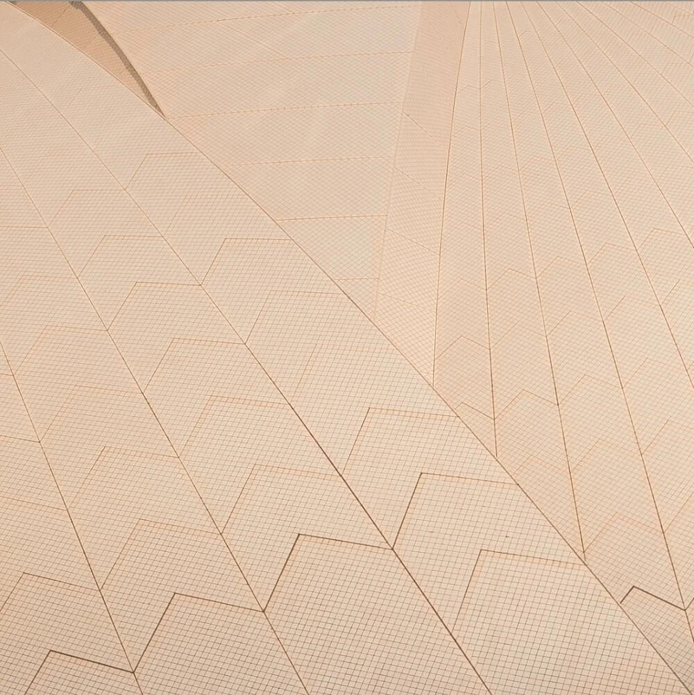 SAILS