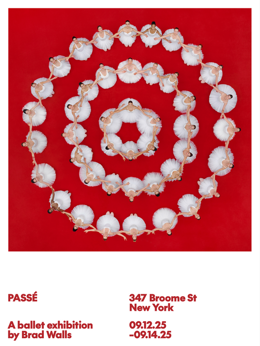 PASSÉ Poster - 18"x24"