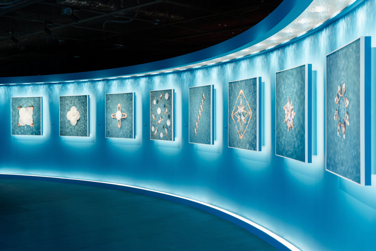 Blue harmony room at Moving Life, Still Art, Brad Walls solo exhibition in Seoul